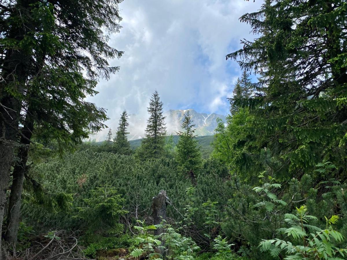 Luxusná Drevenica Zuberec s Wellness, Západné Tatry, Orava Vila Exterior foto