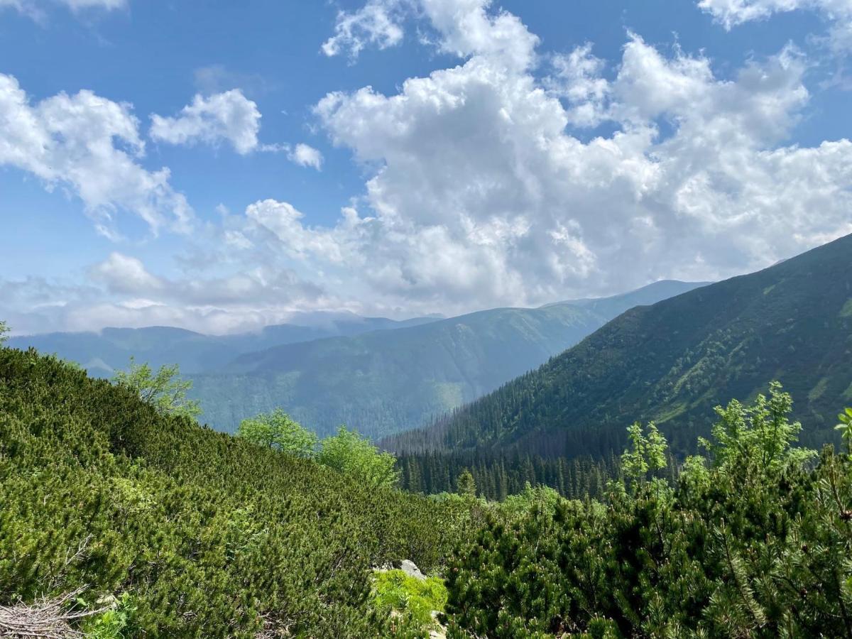 Luxusná Drevenica Zuberec s Wellness, Západné Tatry, Orava Vila Exterior foto