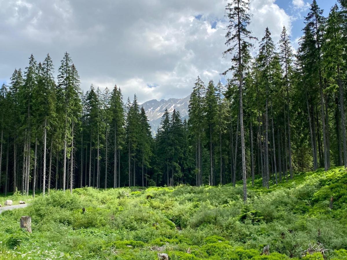 Luxusná Drevenica Zuberec s Wellness, Západné Tatry, Orava Vila Exterior foto