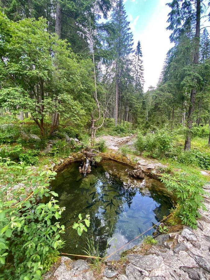 Luxusná Drevenica Zuberec s Wellness, Západné Tatry, Orava Vila Exterior foto